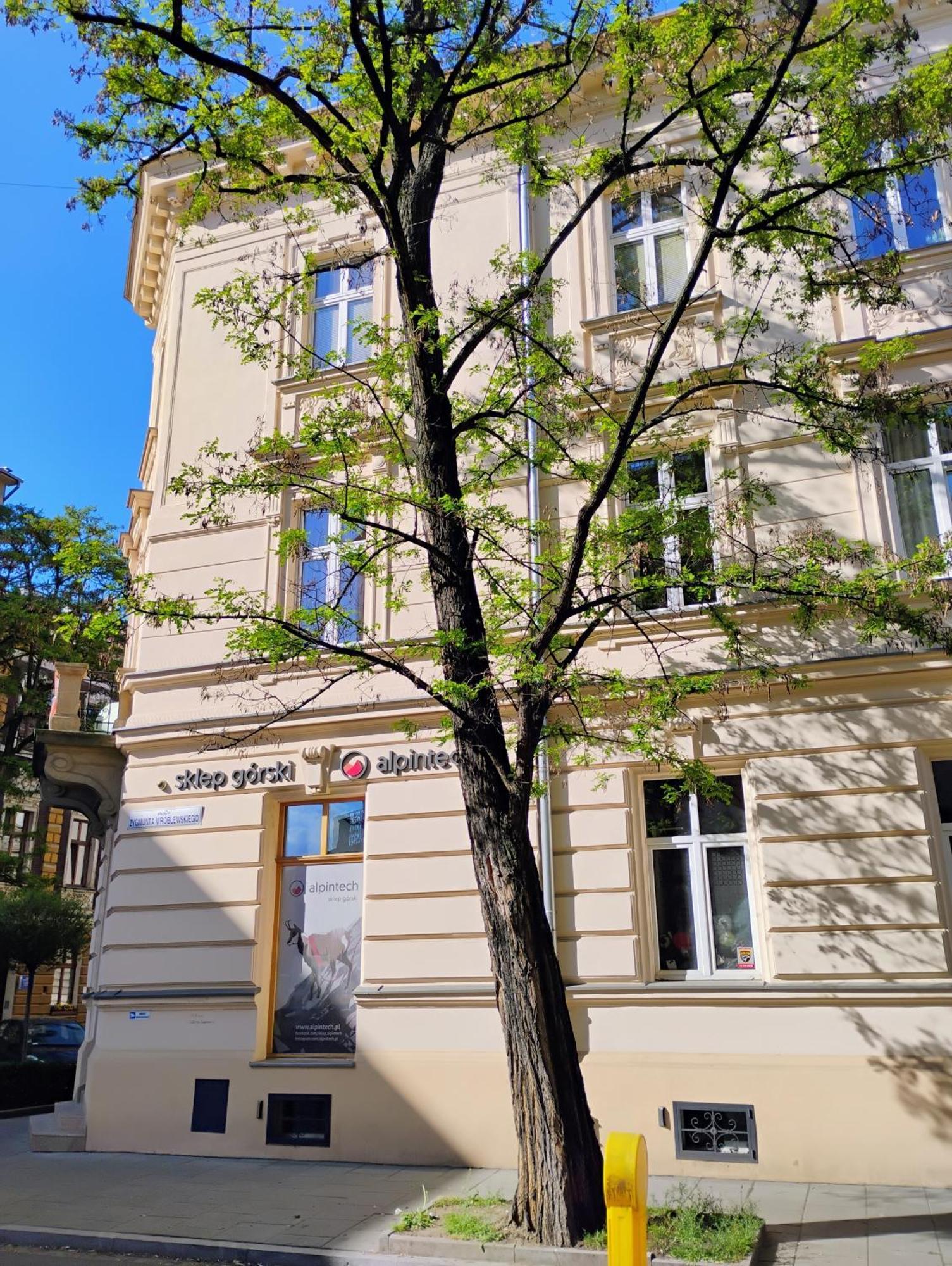Apartament Rozy Cracovia Exterior foto
